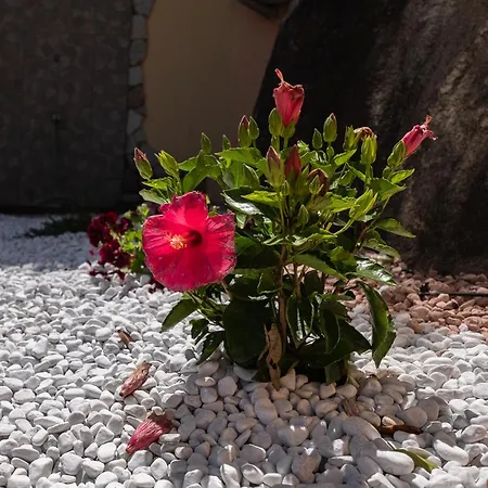 Casa Matilde Stunning Sea View 500m From The 別荘 *