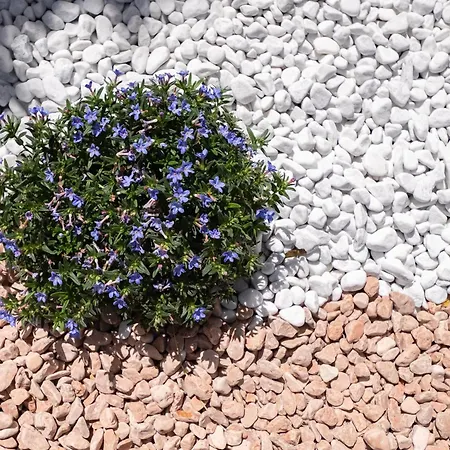 Casa Matilde Stunning Sea View 500m From The 別荘 *