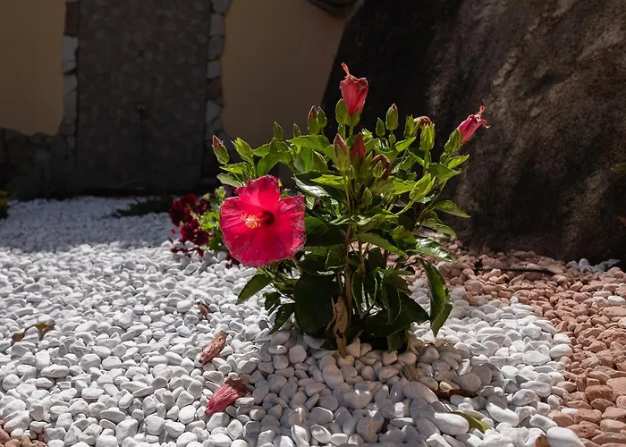 Casa Matilde Stunning Sea View 500m From The Dom wakacyjny *