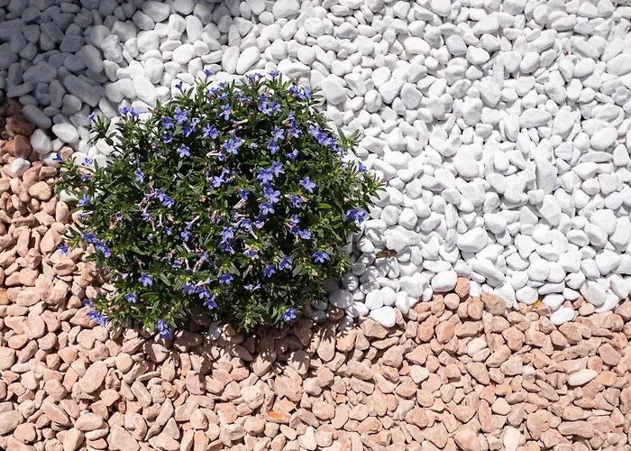 Casa Matilde Stunning Sea View 500m From The Dom wakacyjny *